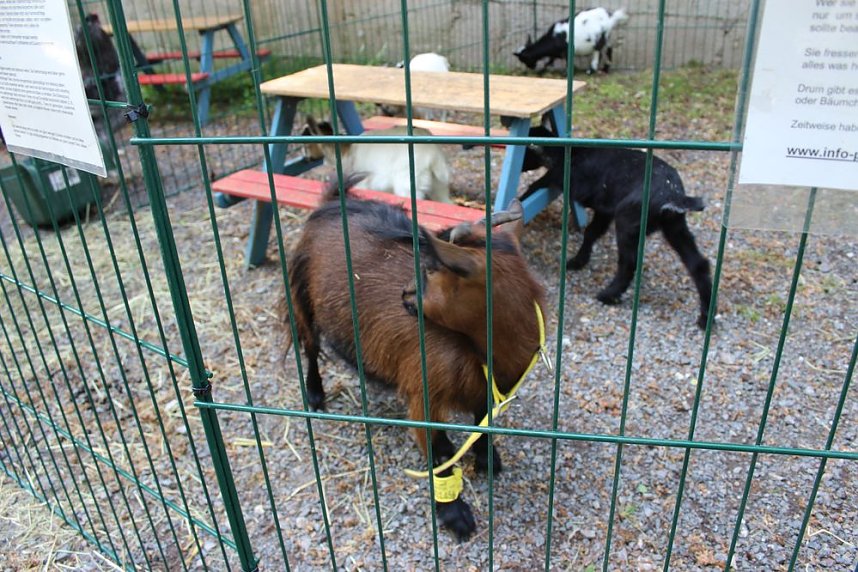 Guter Start in das Residenzfest