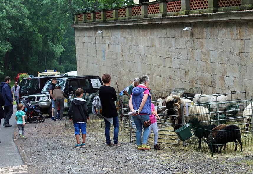Auflauf zum Abschluss Residenzfest