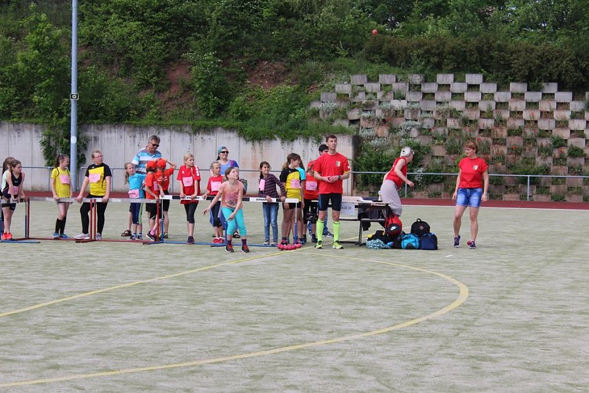 Mini-WM am G&ouml;ldner