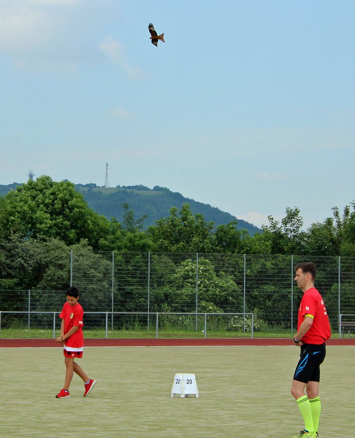 Mini-WM am G&ouml;ldner