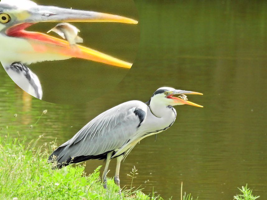 Abstecher in den Schlosspark