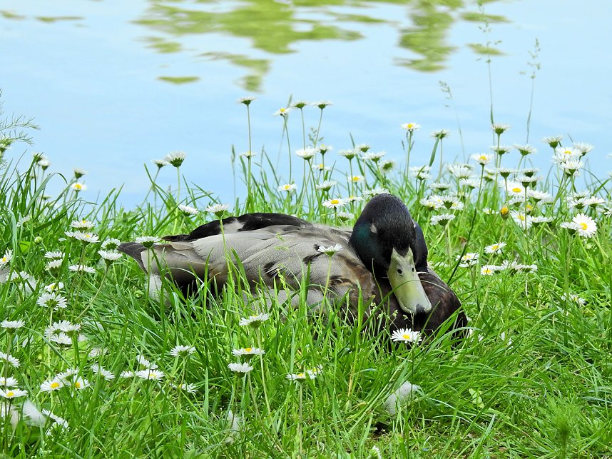 Abstecher in den Schlosspark