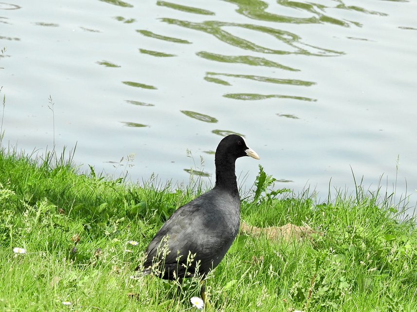 Abstecher in den Schlosspark