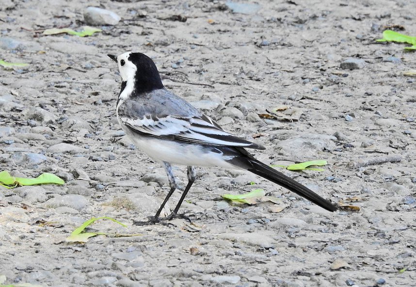 Abstecher in den Schlosspark