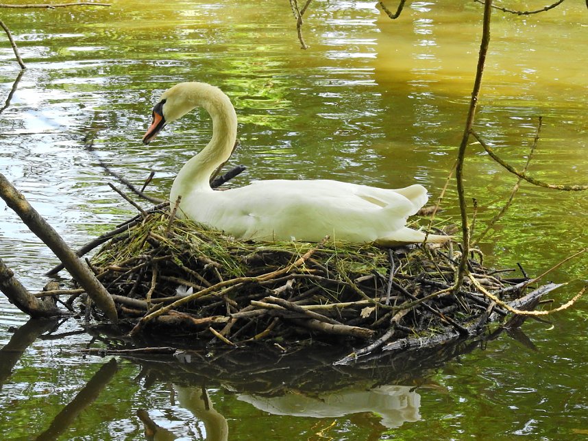 Abstecher in den Schlosspark