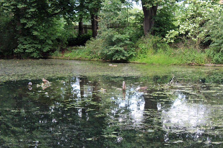 Nicht nur marode Br&uuml;cken!