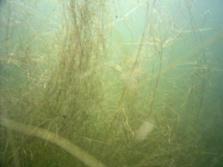 Bushaltestellen entfallen und Gras gerupft