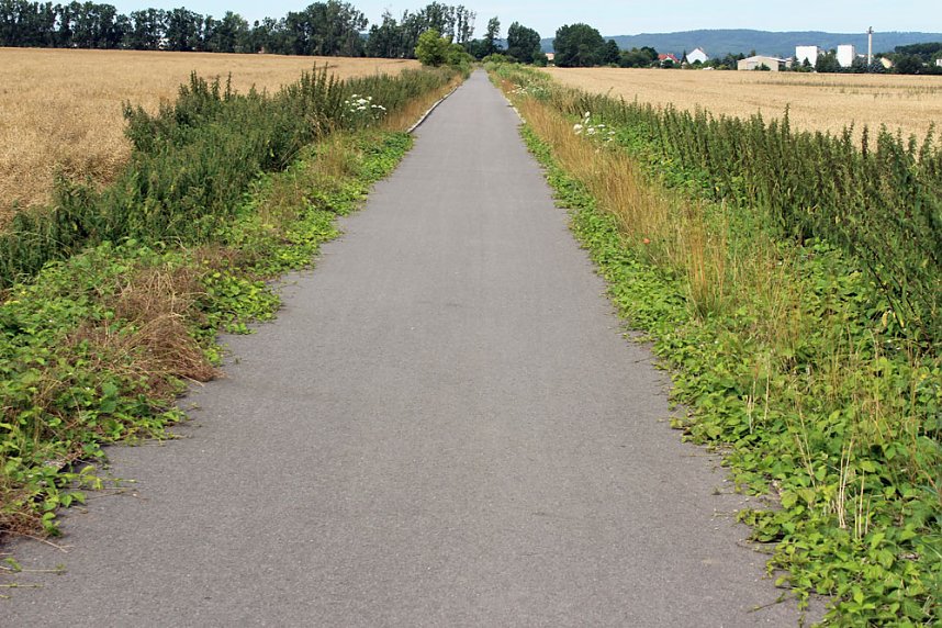 Da w&auml;chst etwas zu!
