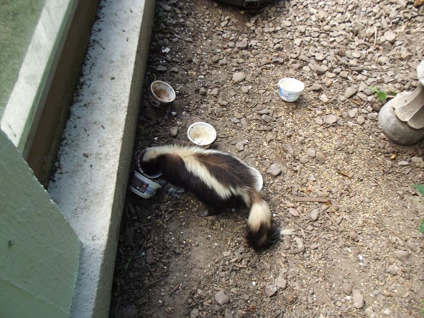 WB 4 besuchte Kleine Wartburg in Clingen