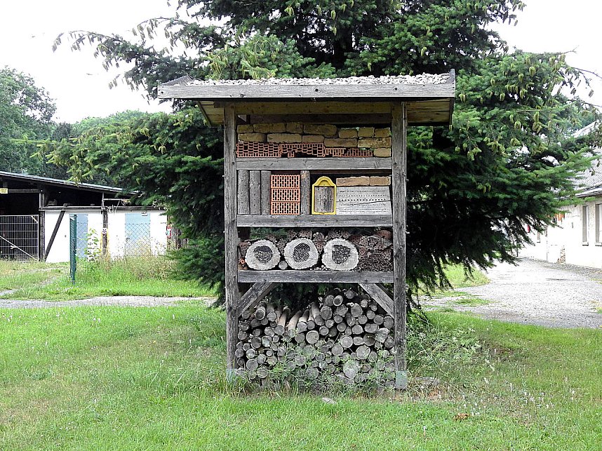 Peter Blei unterwegs - diesmal in der freien Natur und im Jugendwaldheim Rathsfeld
