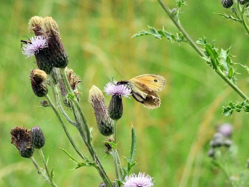 Peter Blei unterwegs - diesmal in der freien Natur und im Jugendwaldheim Rathsfeld