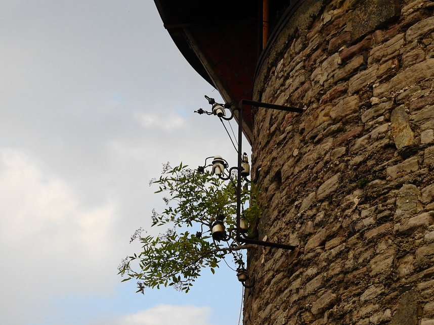 Geschichten aus alter und neuer Zeit fand Peter Blei in Gernrode