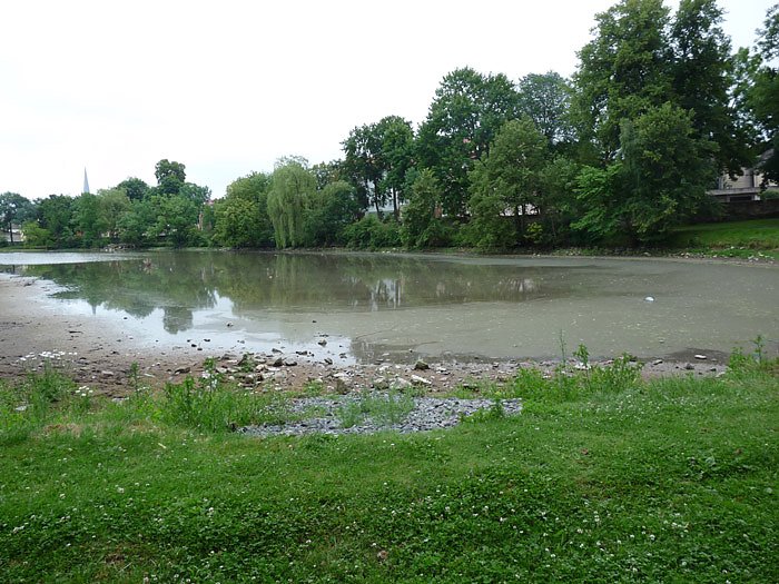 Parkteich Sondershausen