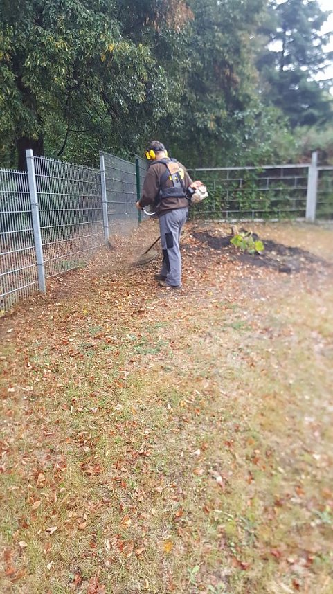Arbeitseinsatz auf dem Hundeplatz an der Trift