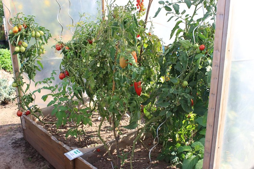 Offener Garten zum Mitmachen