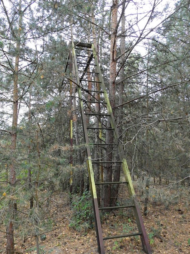 Unwirkliche Orte: Munitionsfabrik Kapen