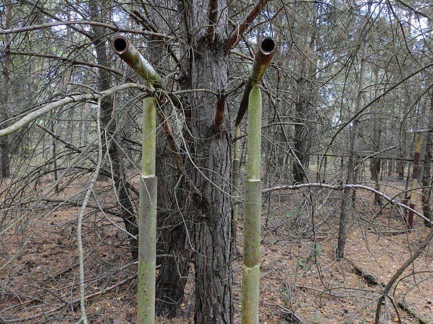 Unwirkliche Orte: Munitionsfabrik Kapen