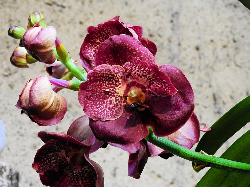 25 Jahre Keramikscheune Spickendorf