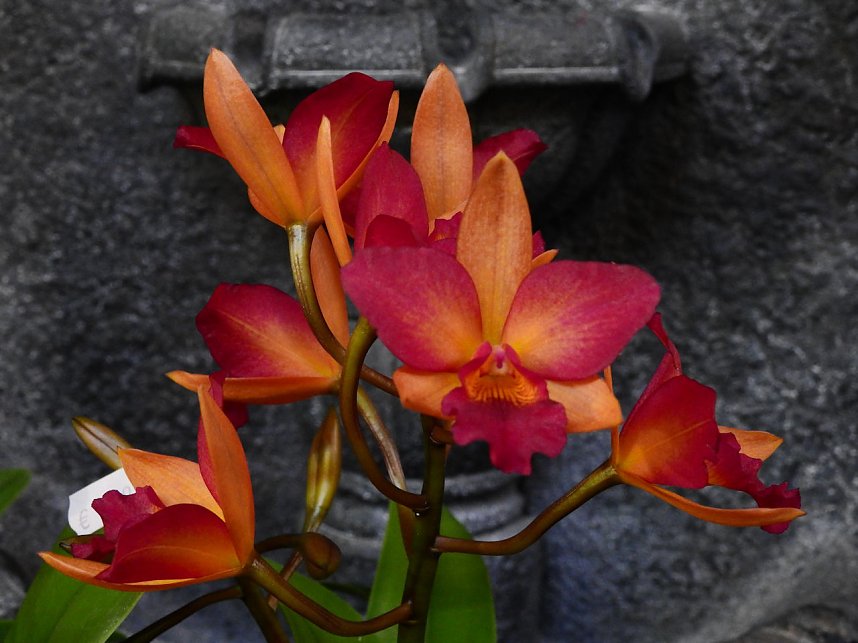 25 Jahre Keramikscheune Spickendorf