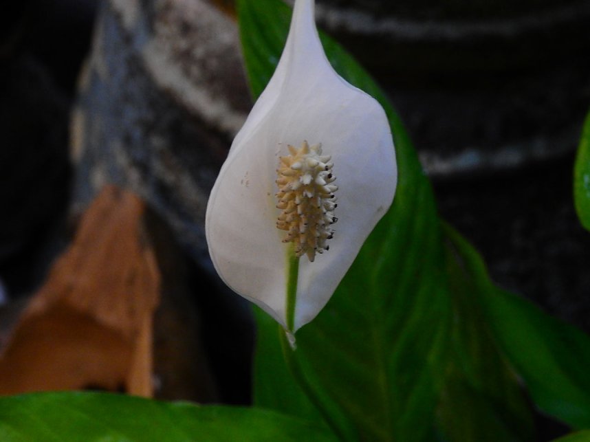 25 Jahre Keramikscheune Spickendorf