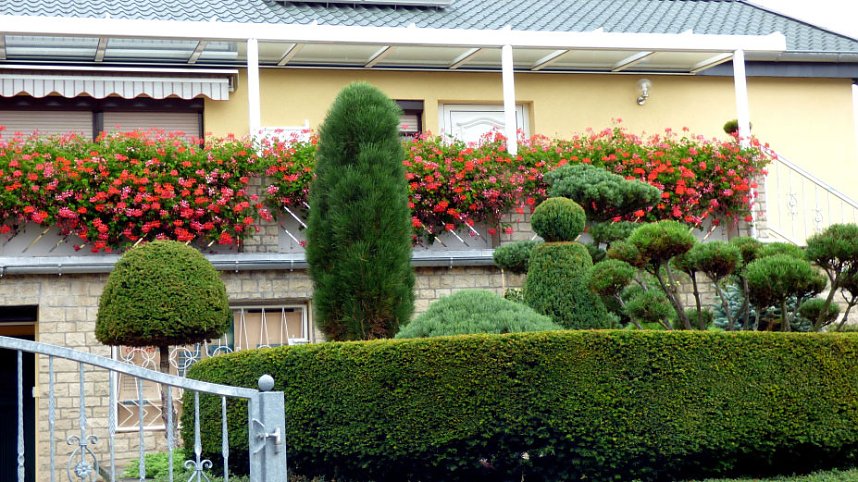 Gro&szlig;e Beteiligung am 22."Frankenh&auml;user Blumensommer" 2016
