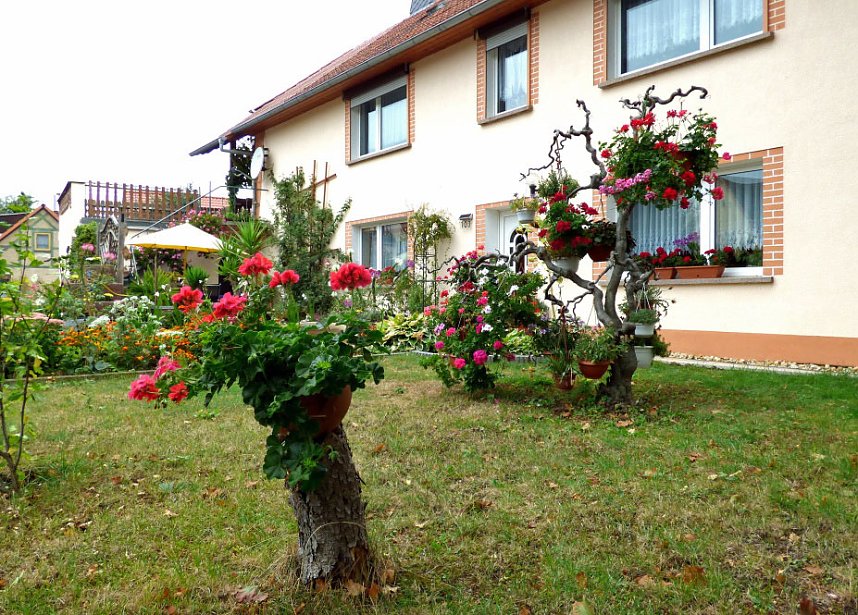 Gro&szlig;e Beteiligung am 22."Frankenh&auml;user Blumensommer" 2016