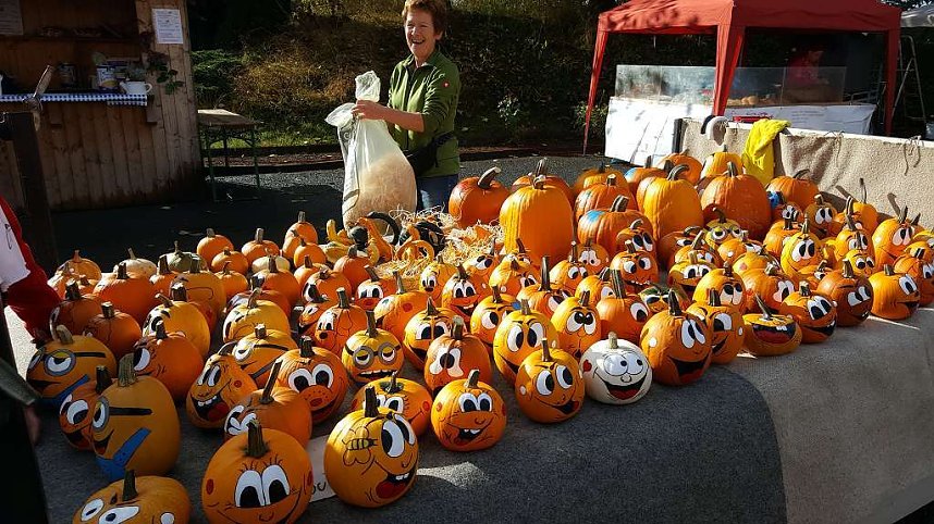 Kartoffelmarkt 2016 in Rockensu&szlig;ra