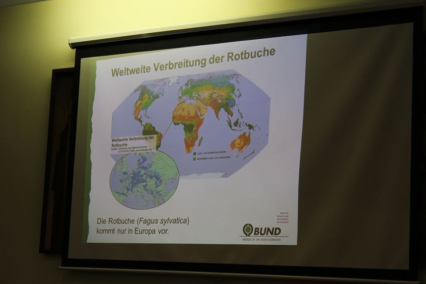 Pl&auml;doyer f&uuml;r den Possen als Urwald