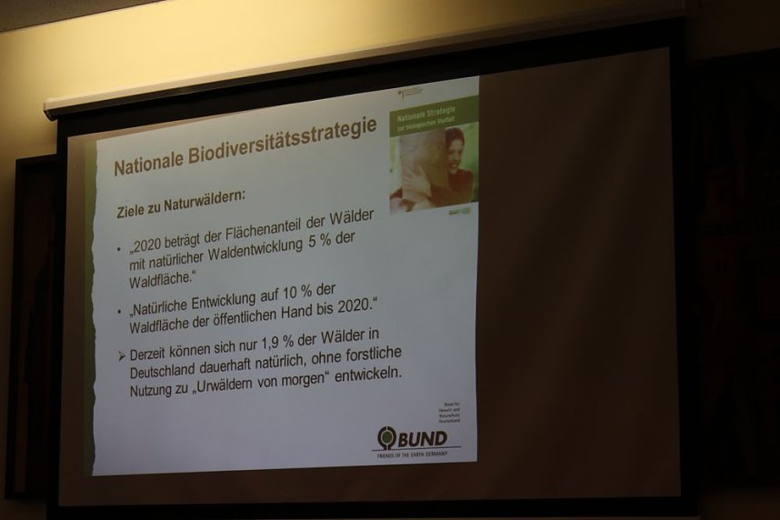 Pl&auml;doyer f&uuml;r den Possen als Urwald