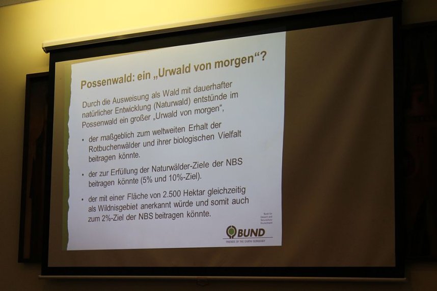 Pl&auml;doyer f&uuml;r den Possen als Urwald