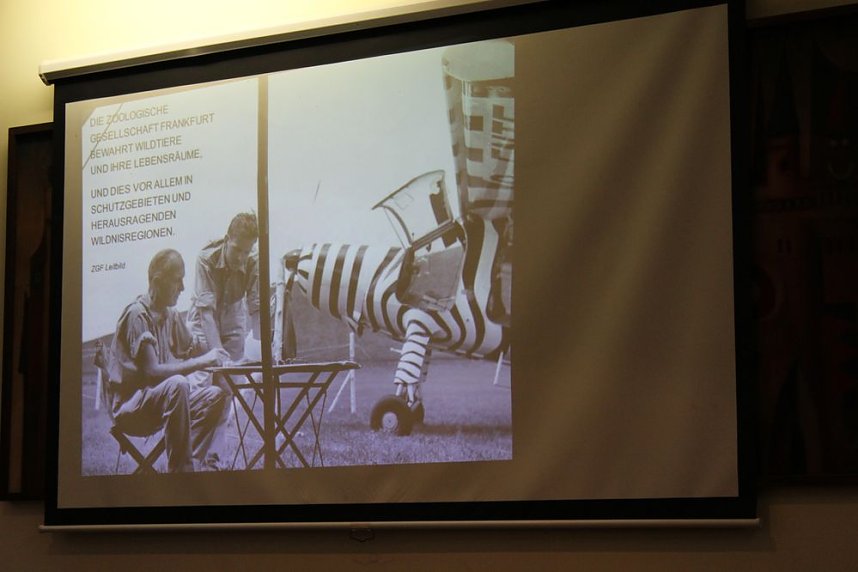 Pl&auml;doyer f&uuml;r den Possen als Urwald