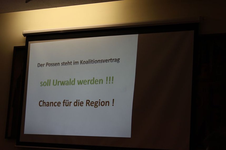 Pl&auml;doyer f&uuml;r den Possen als Urwald