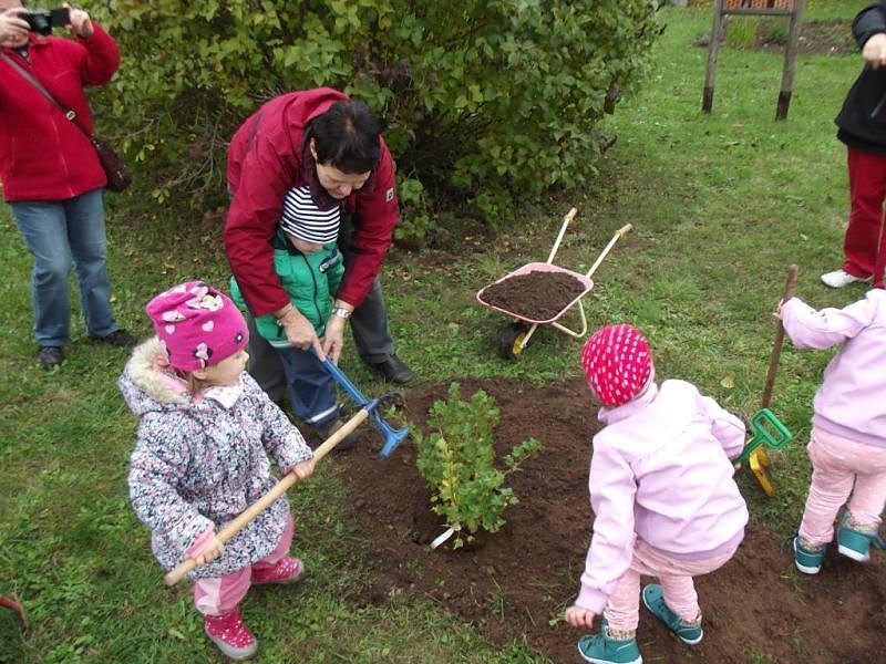 N&auml;chstes Jahr wird genascht