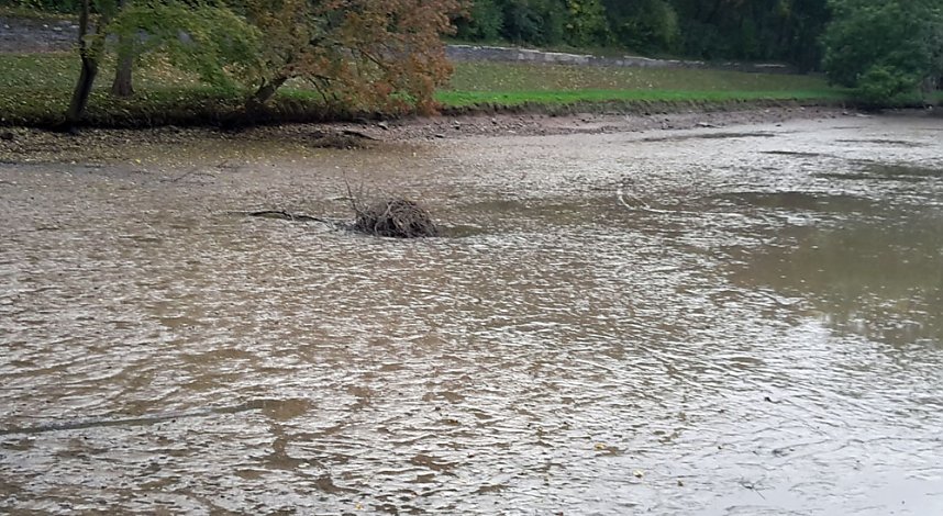 M&uuml;llabladeplatz Schlosspark?
