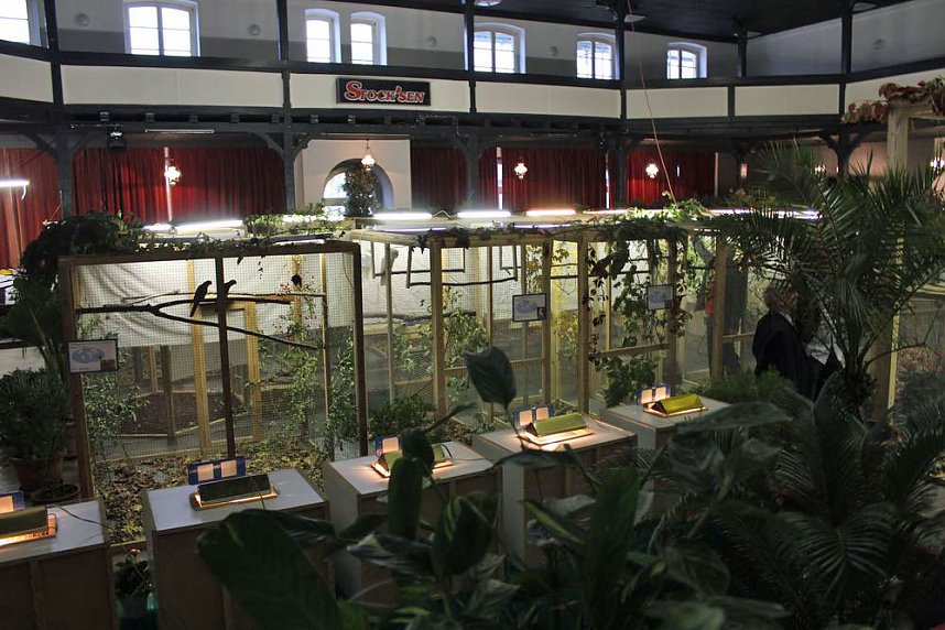 Viele exotische V&ouml;gel zu sehen