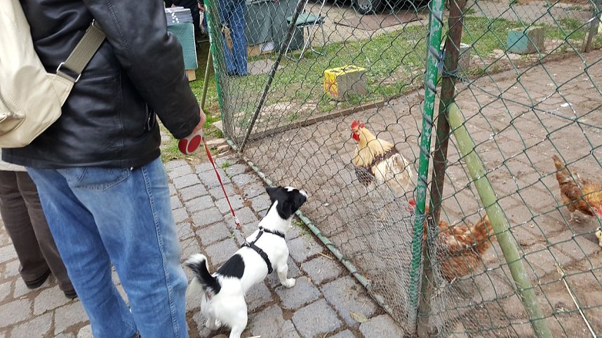 Bauernmarkt in Braunsroda