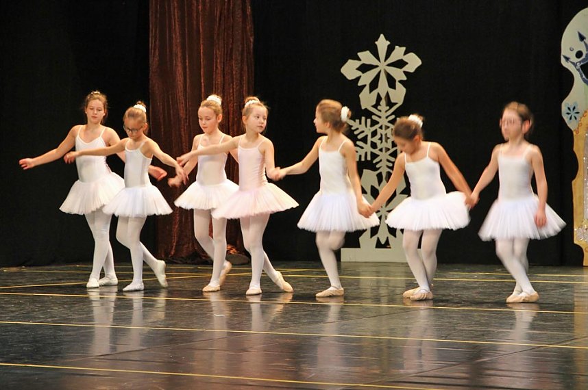 Die Sch&ouml;ne und das Biest