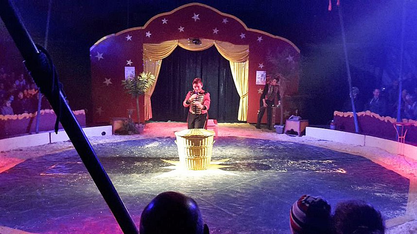 Sehr sehenswertes Zirkusprojekt