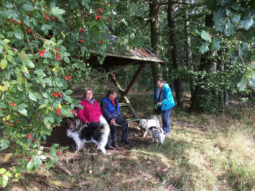 Herbstwanderung des Sondersh&auml;user Hundevereins