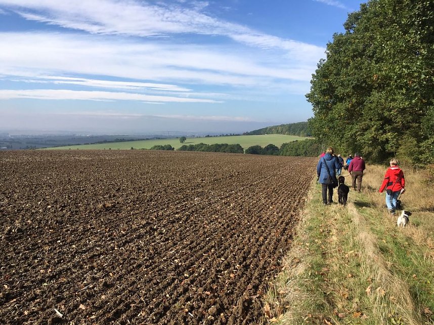 Herbstwanderung des Sondersh&auml;user Hundevereins