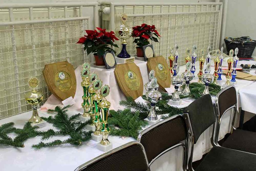 Rassenkaninchenschau in Gro&szlig;furra