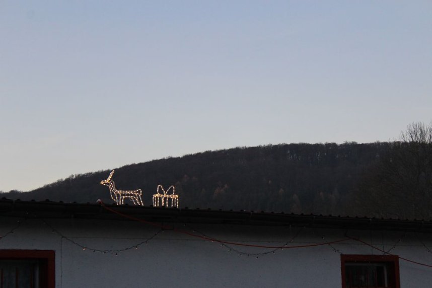 Massenansturm zum Weihnachtstauchen