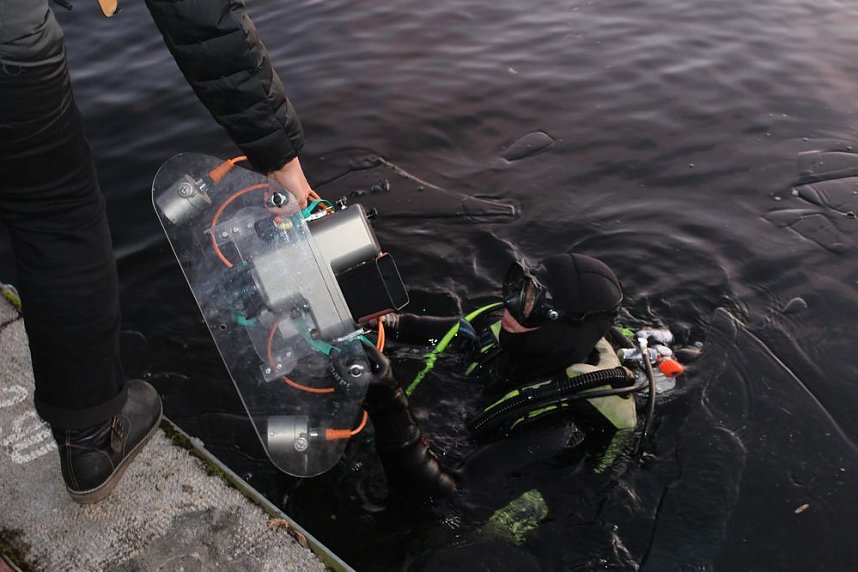 Massenansturm zum Weihnachtstauchen