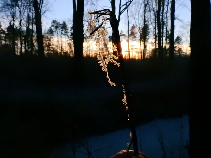 Ein Traum in Wei&szlig;