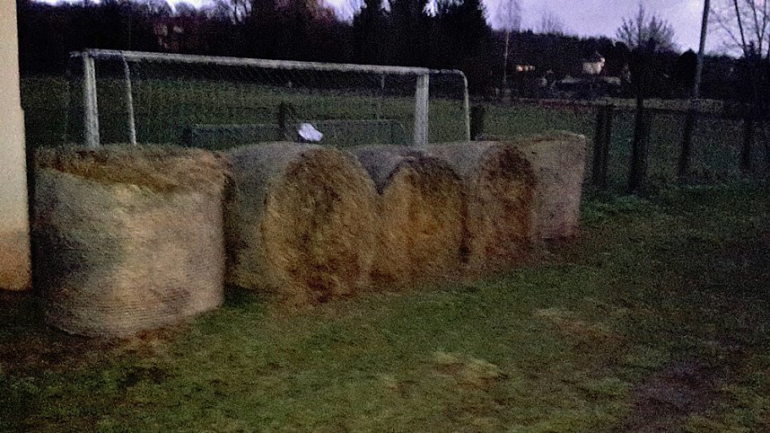 Wehe so handelt ein Privatmann