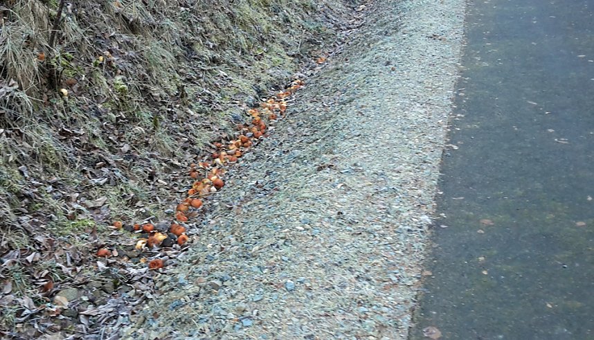 Radfahrer verlor Reifen