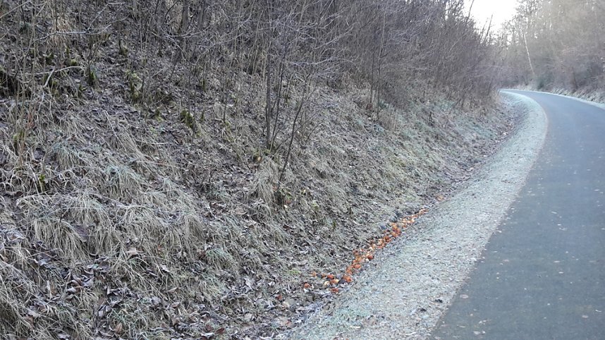 Radfahrer verlor Reifen