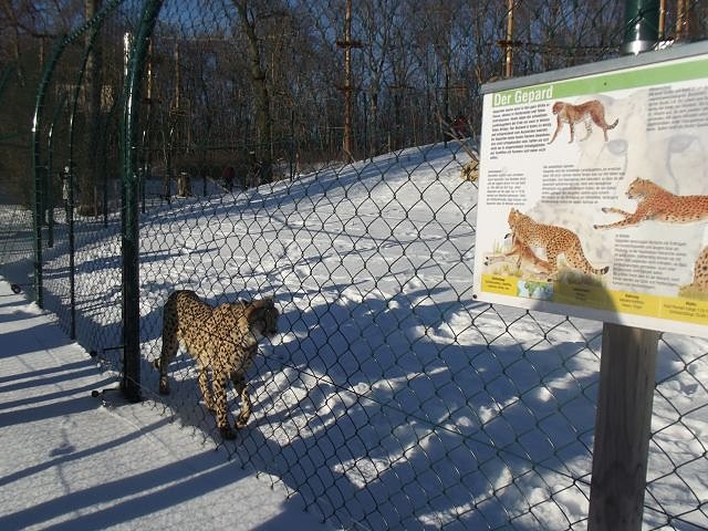 Winterspa&szlig; auf dem Possen