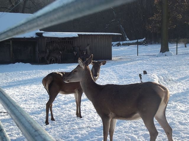 Winterspa&szlig; auf dem Possen