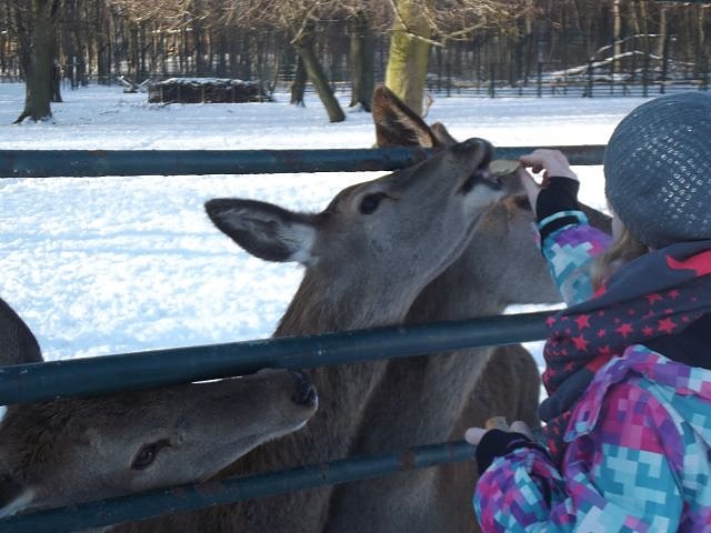 Winterspa&szlig; auf dem Possen